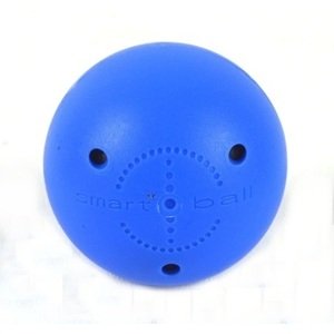 Potent Hockey Loptička  Smart Ball, biela
