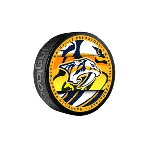 InGlasCo Fanúšikovský puk NHL Medallion Blister (1ks), Nashville Predators