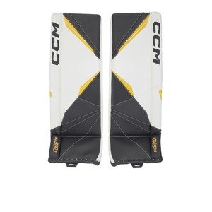 CCM Betóny CCM Axis 2.9 INT, Intermediate, 31+1", biela