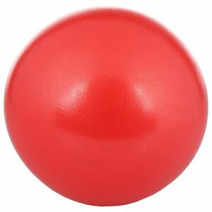 Sweat Blood Overball Sweat Blood Gym 23cm, zelená